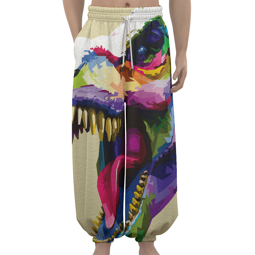Colorful Tyrannosaurus Rex Print Lantern Pants