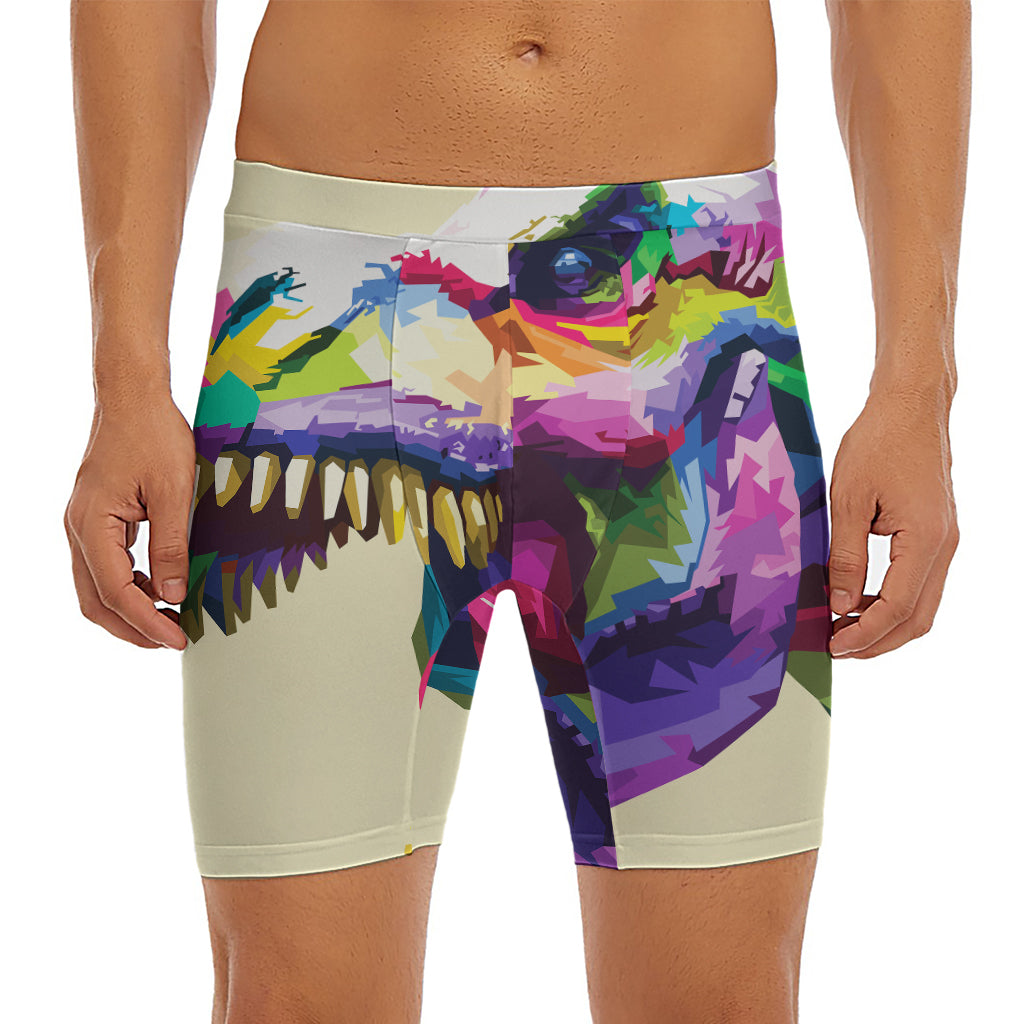 Colorful Tyrannosaurus Rex Print Men's Long Boxer Briefs