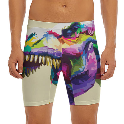Colorful Tyrannosaurus Rex Print Men's Long Boxer Briefs