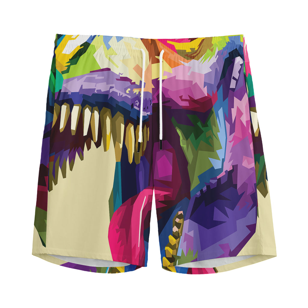 Colorful Tyrannosaurus Rex Print Men's Sports Shorts
