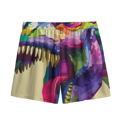 Colorful Tyrannosaurus Rex Print Mesh Shorts