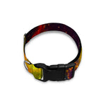 Colorful Universe Galaxy Space Print Dog Collar