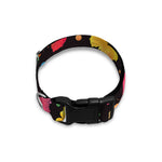 Colorful Watercolor Butterfly Print Dog Collar