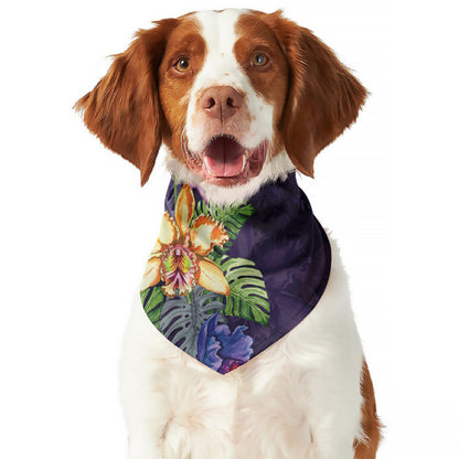 Colorful Watercolor Cattleya Print Dog Bandana