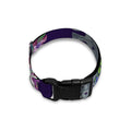 Colorful Watercolor Cattleya Print Dog Collar