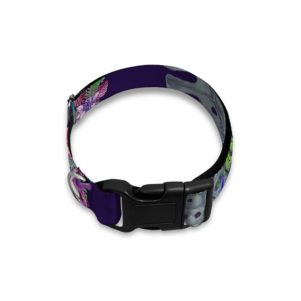 Colorful Watercolor Cattleya Print Dog Collar