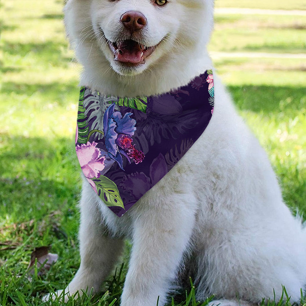 Colorful Watercolor Cattleya Print Over The Collar Dog Bandana