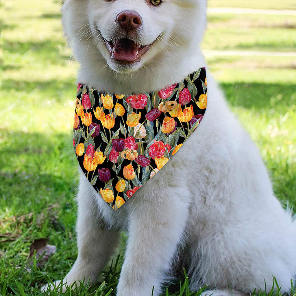 Colorful Watercolor Tulip Pattern Print Over The Collar Dog Bandana