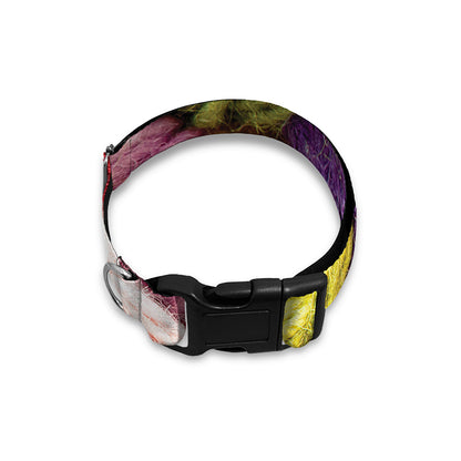 Colorful Wool Yarns Print Dog Collar