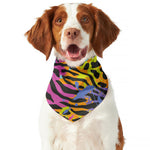 Colorful Zebra Leopard Pattern Print Dog Bandana