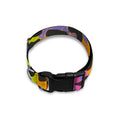 Colorful Zebra Leopard Pattern Print Dog Collar