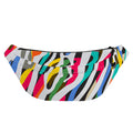 Colorful Zebra Pattern Print Fanny Pack