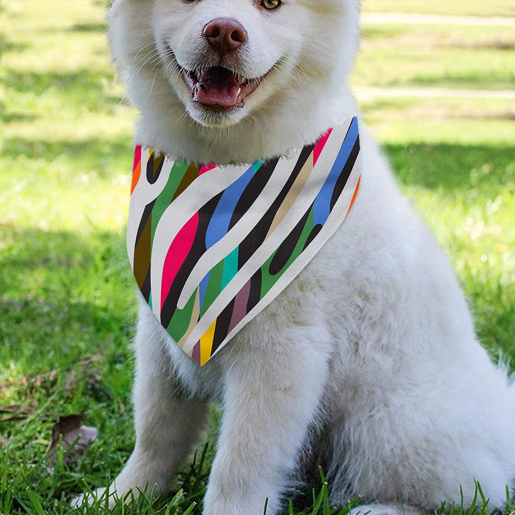 Colorful Zebra Pattern Print Over The Collar Dog Bandana