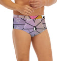 Colourful Chinese Zodiac Wheel Print Men's Briefs