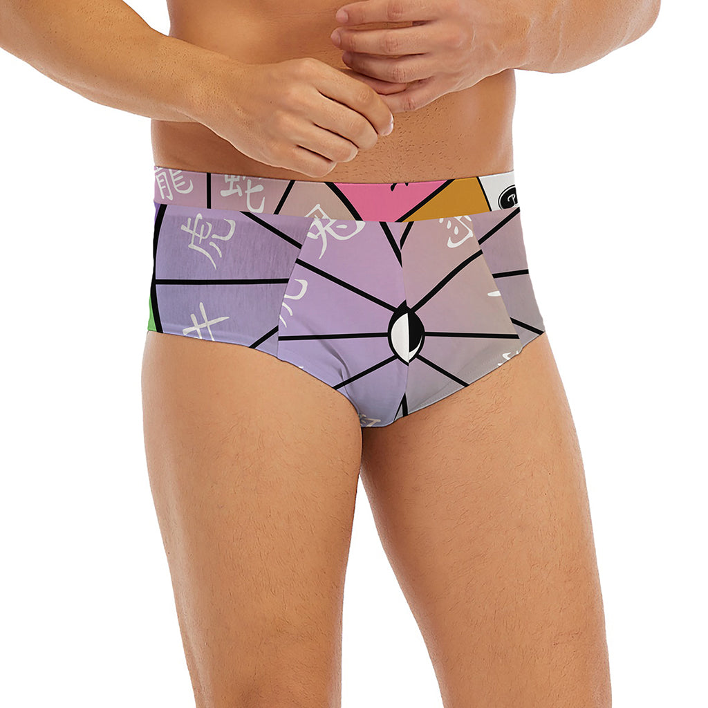 Colourful Chinese Zodiac Wheel Print Men's Briefs