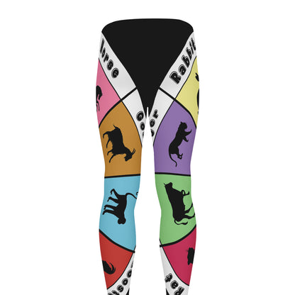 Colourful Chinese Zodiac Wheel Print Men's leggings