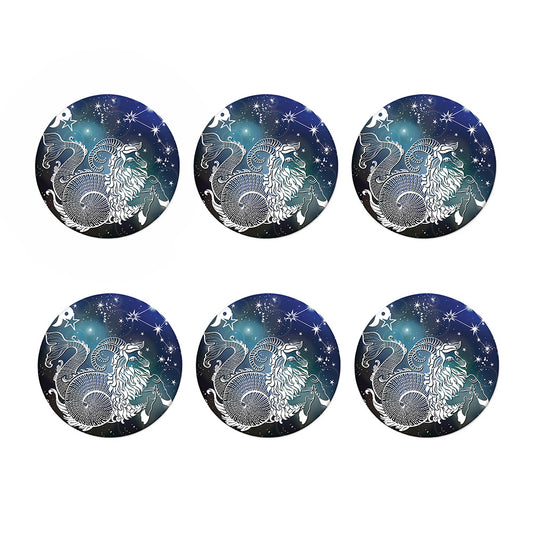 Constellation Of Capricorn Print Coaster Set