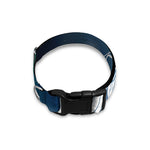 Constellation Of Sagittarius Print Dog Collar