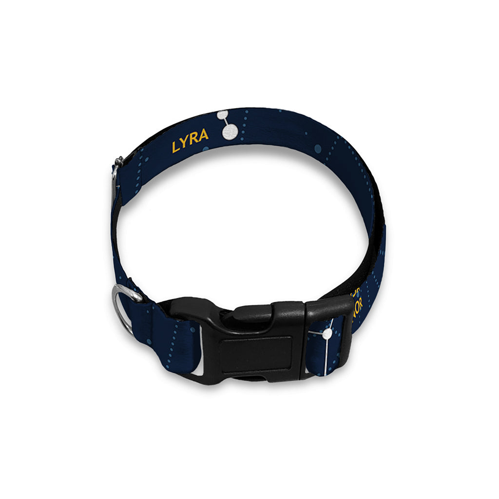 Constellation Sky Map Print Dog Collar