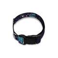 Constellation Zodiac Signs Pattern Print Dog Collar