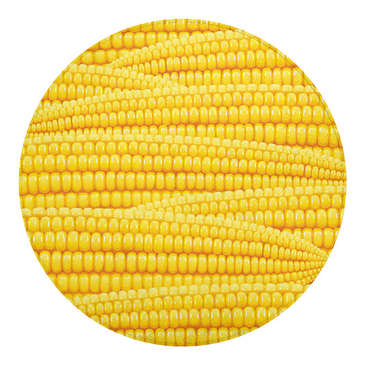 Corn Pattern Print Round Blanket