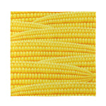 Corn Pattern Print Silk Bandana