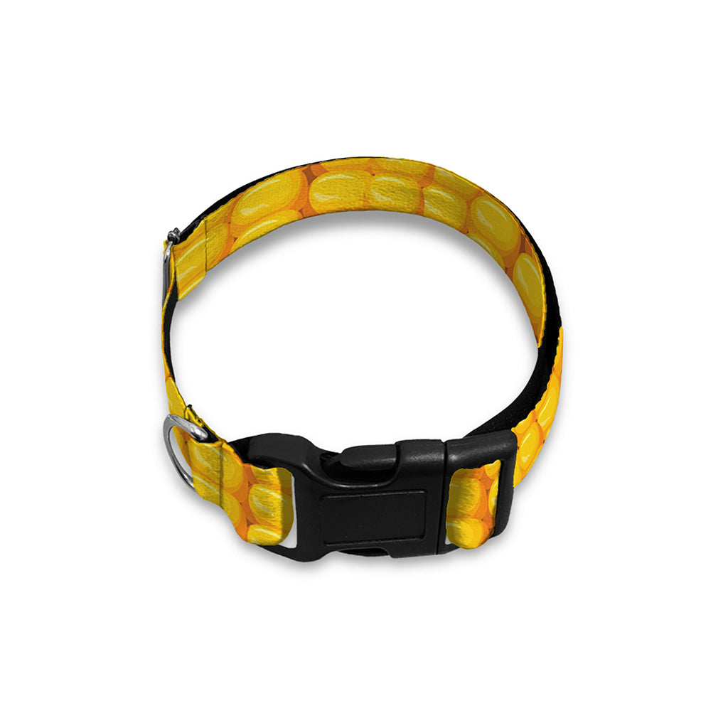 Corn Print Dog Collar