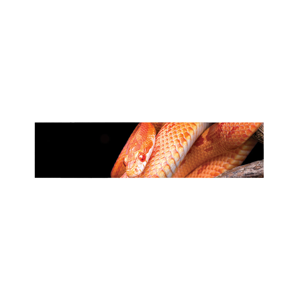 Corn Snake Print Bed Runner