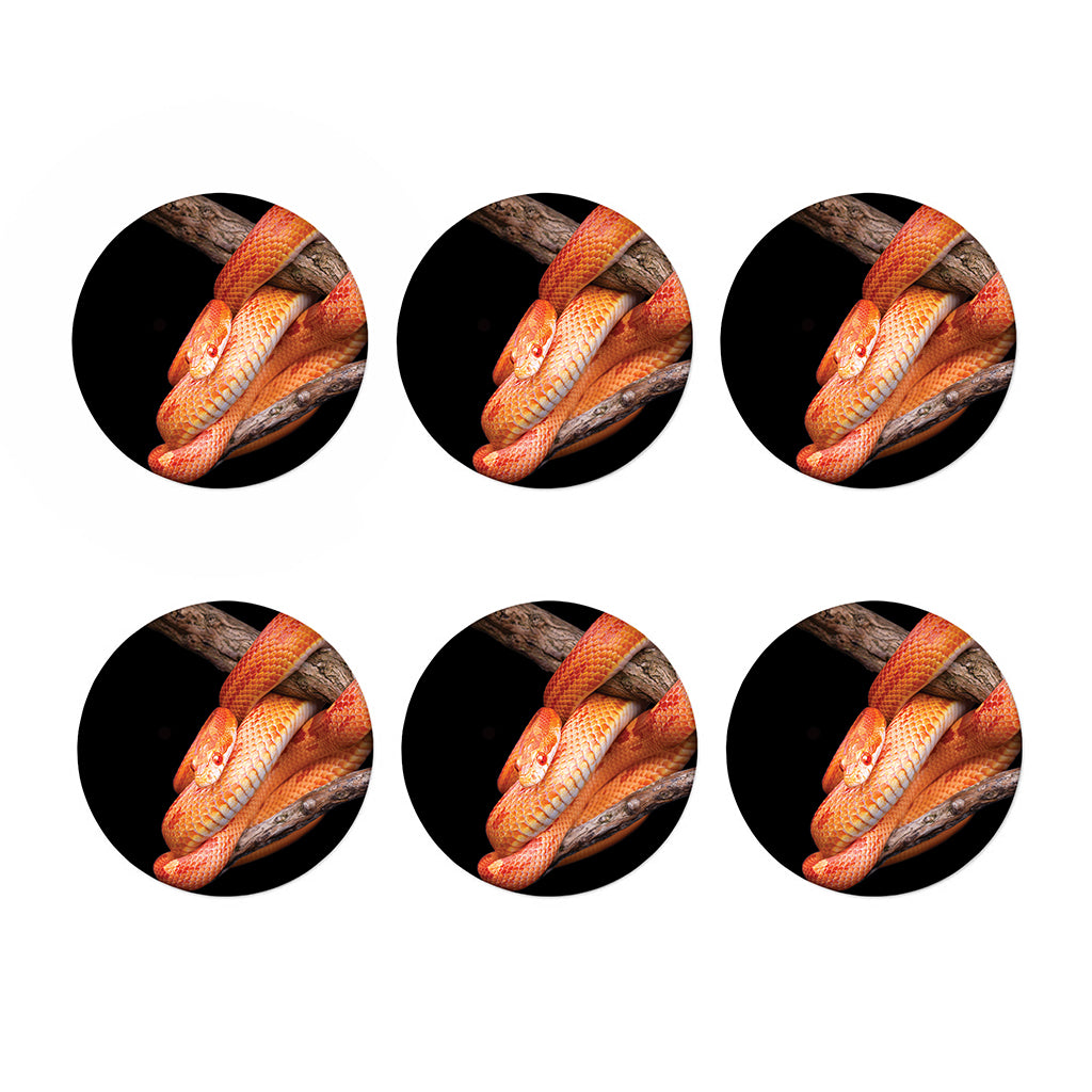 Corn Snake Print Coaster Set
