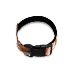 Corn Snake Print Dog Collar