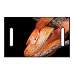 Corn Snake Print Golf Cart Seat Cover