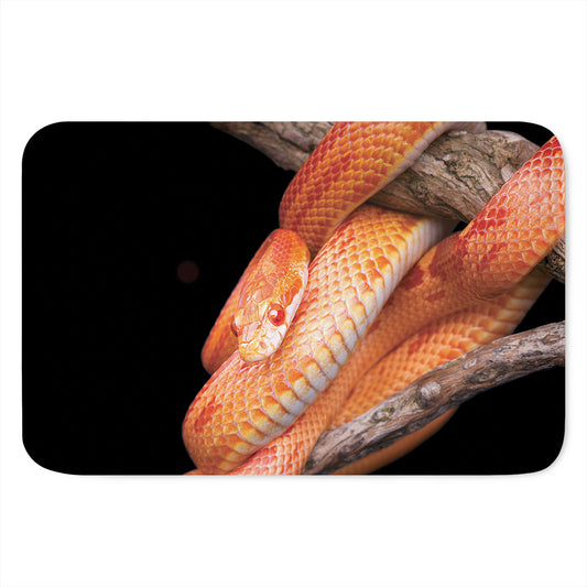 Corn Snake Print Indoor Door Mat