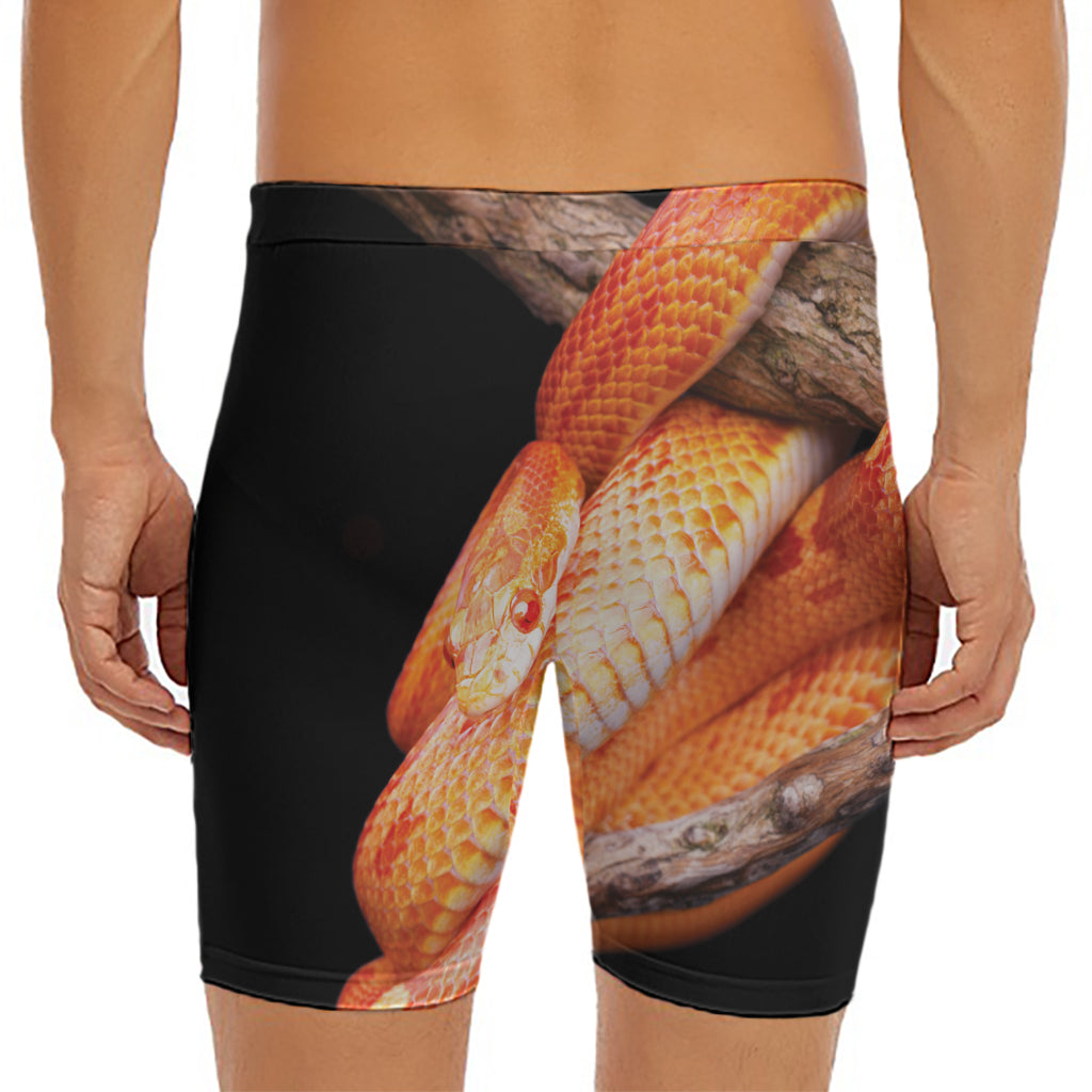 Corn Snake Print Men's Long Boxer Briefs
