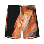 Corn Snake Print Men's Sports Shorts