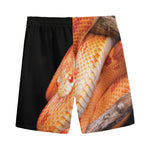 Corn Snake Print Men's Sports Shorts