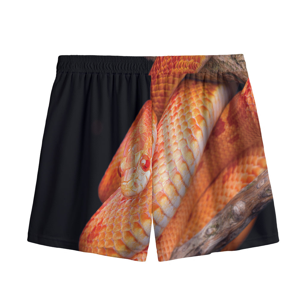 Corn Snake Print Mesh Shorts
