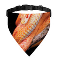 Corn Snake Print Over The Collar Dog Bandana