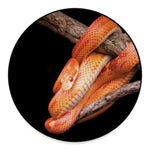 Corn Snake Print Round Floor Mat