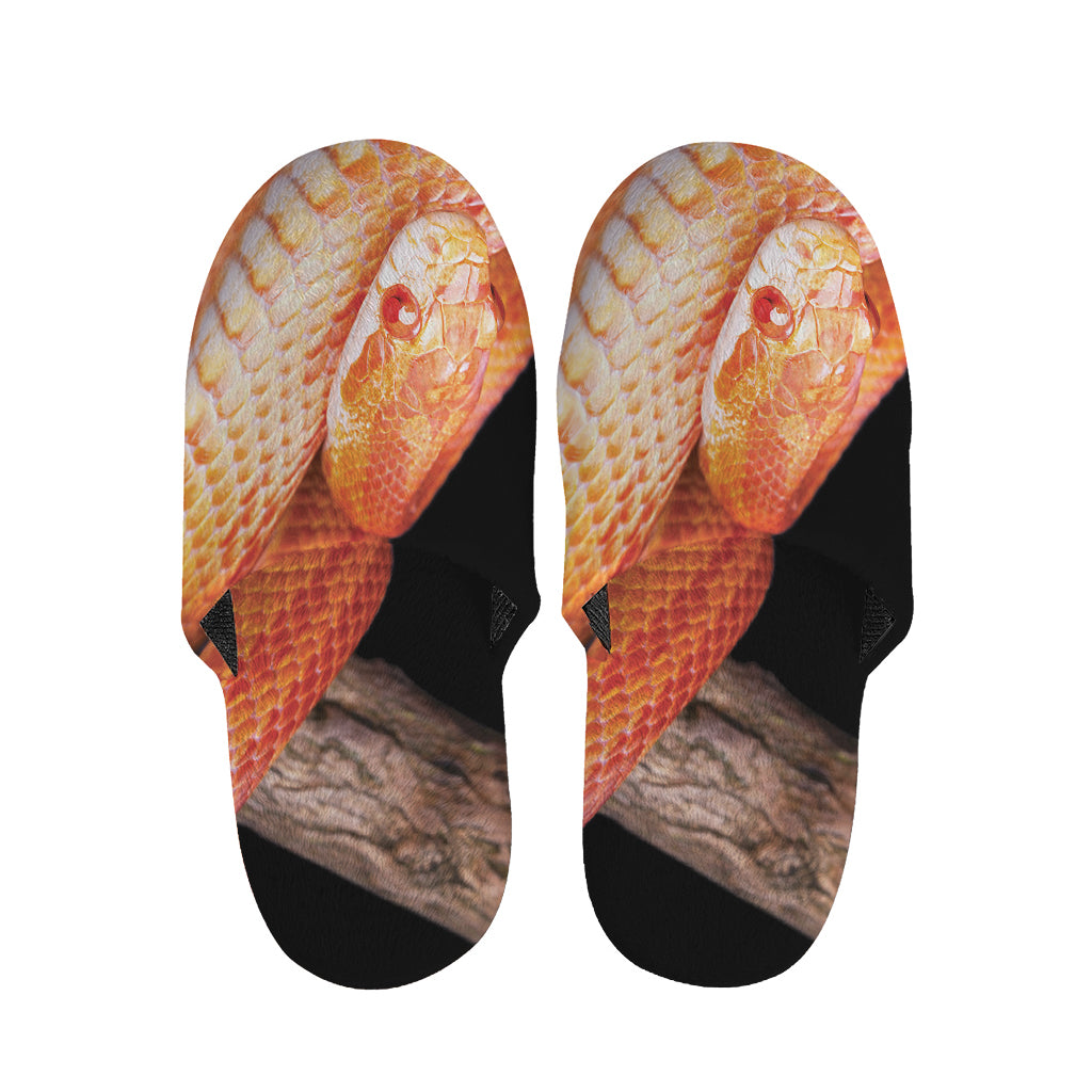 Corn Snake Print Slippers