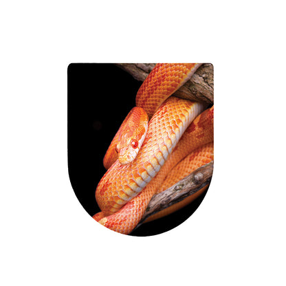 Corn Snake Print Toilet Lid Cover