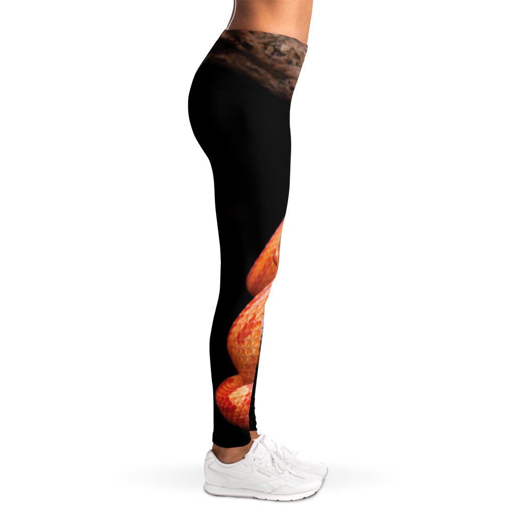 Corn Snake Print Women's Leggings