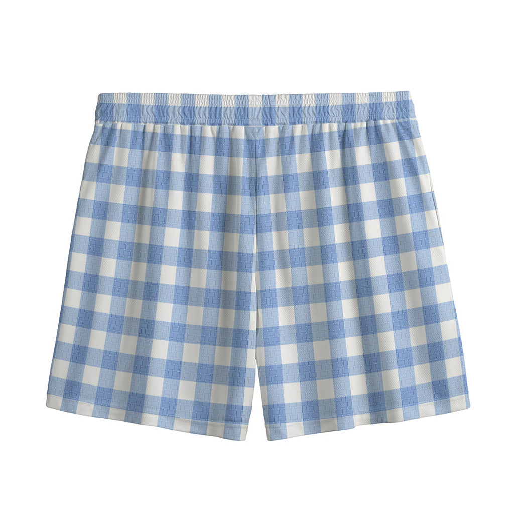 Cornflower Blue And White Gingham Print Mesh Shorts