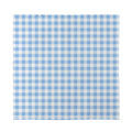 Cornflower Blue And White Gingham Print Silk Bandana