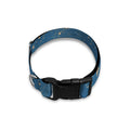 Cosmic Constellation Pattern Print Dog Collar