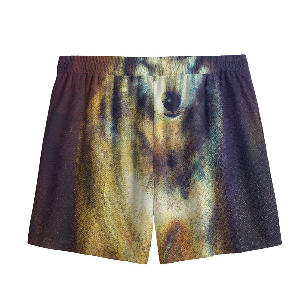 Cosmic Wolf Portrait Print Mesh Shorts