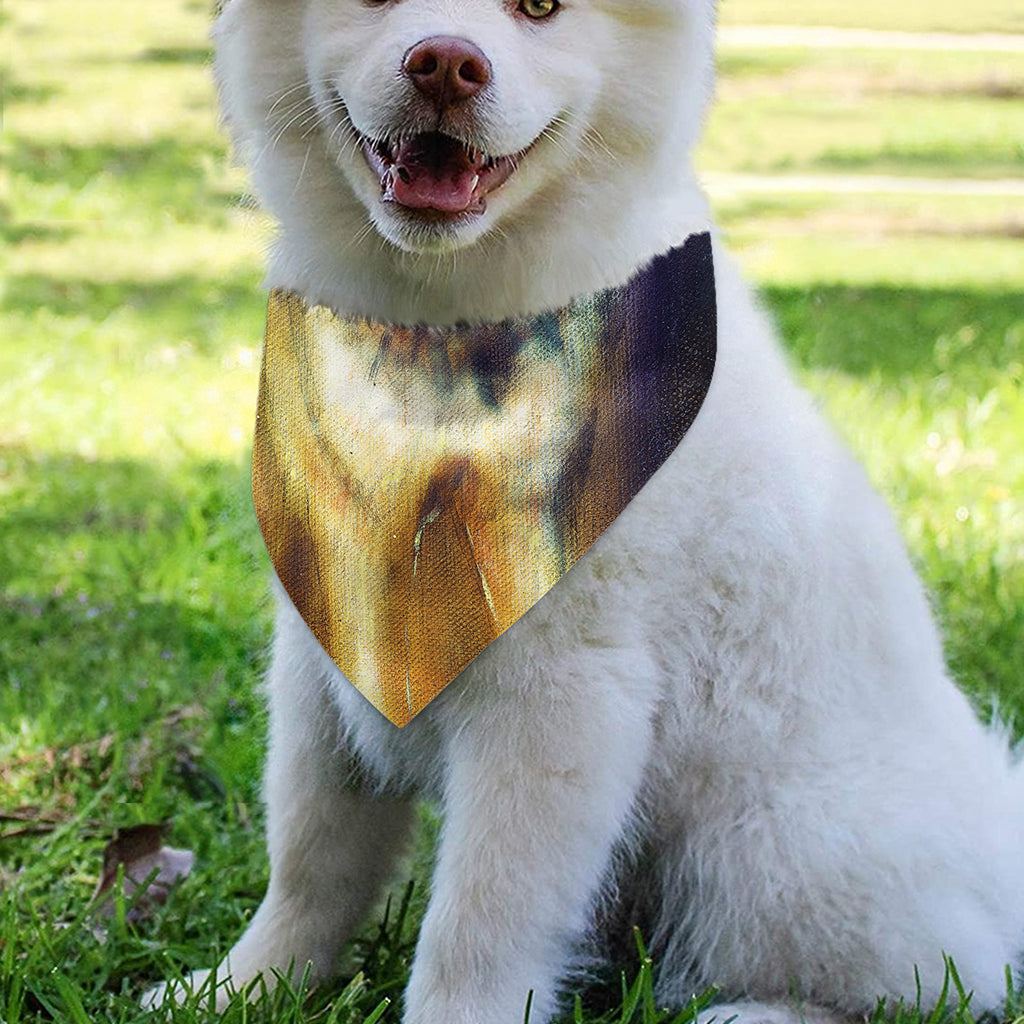 Cosmic Wolf Portrait Print Over The Collar Dog Bandana