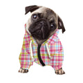 Cotton Candy Pastel Plaid Pattern Print Dog Zip Up Hoodie