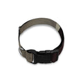 Count Dracula Print Dog Collar