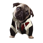 Count Dracula Print Dog Zip Up Hoodie