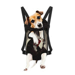 Count Dracula Print Pet Carrier Backpack